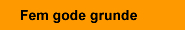 Fem gode grunde